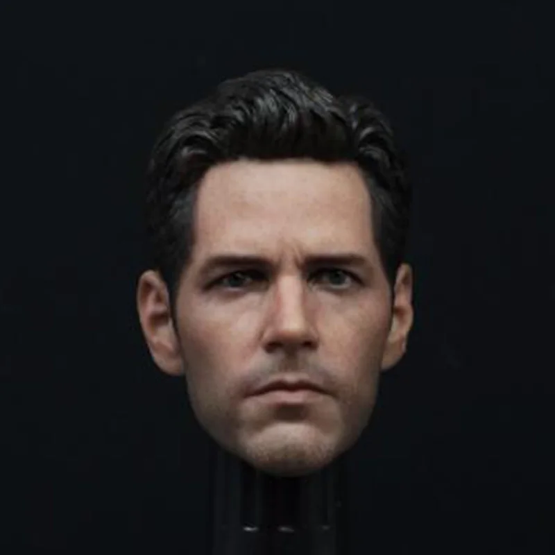 

1/6 Scale Paul Rudd Head Carving Sculpt Head Suitable for Muscle Body F HT Toys TBLeague Male Man Boy Action Figure Fans Gift