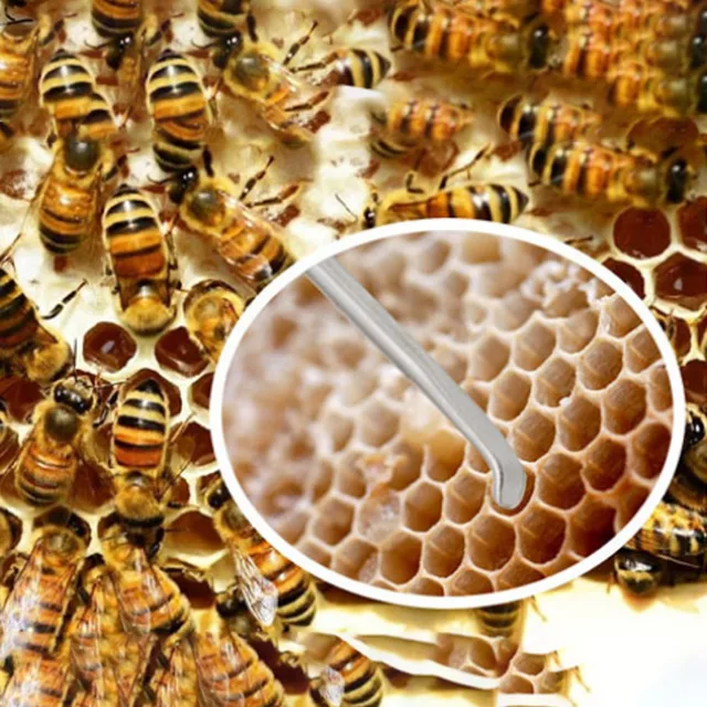 1 Százalékos Új Queen Méhek Lárvák Visszahúzható Oltószerszámok Rozsdamentes Acél Tekercselő Berendezések Méhész Eszközökhöz - Image 2