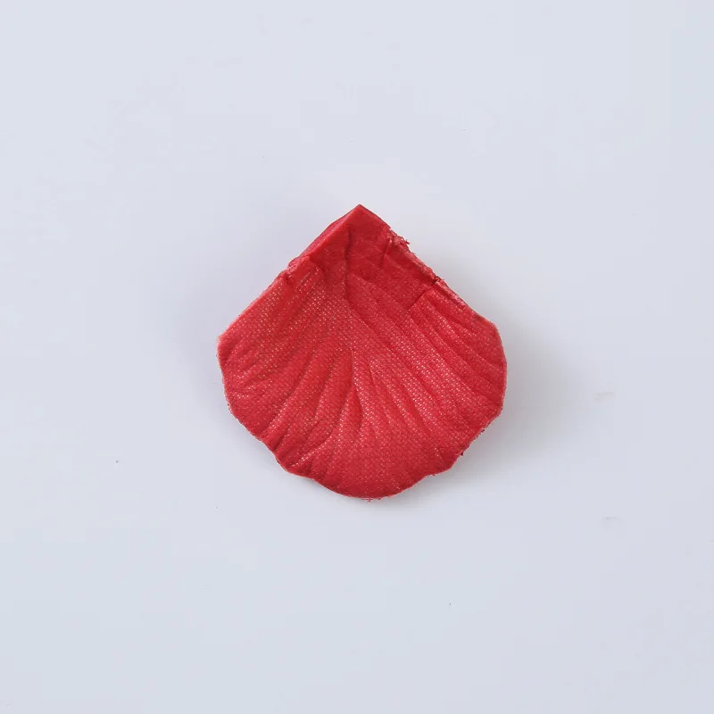 11768195669_405463345