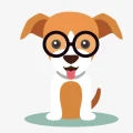Bigeyedog Store