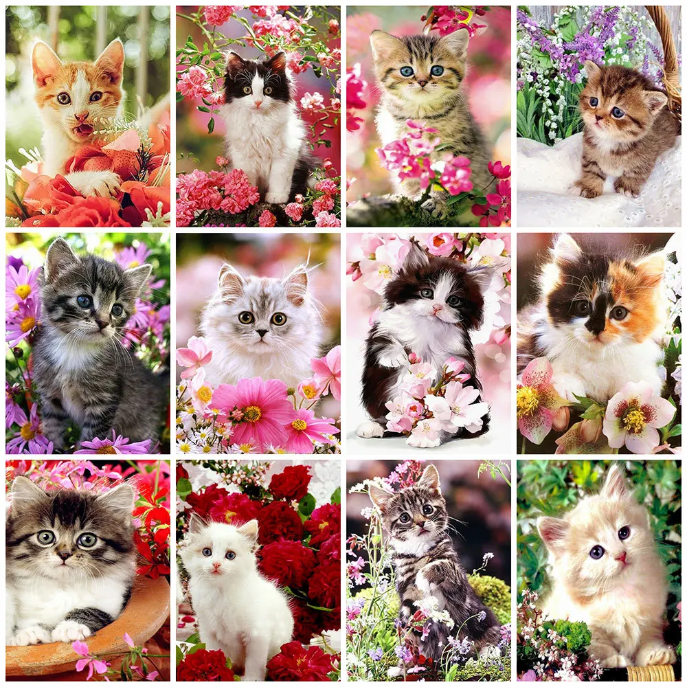 Momoart 5D Diamond Painting Cat Full Square&Round Diamond Embroidery Animal Flower New Mosaic Art Picture Wall Decor