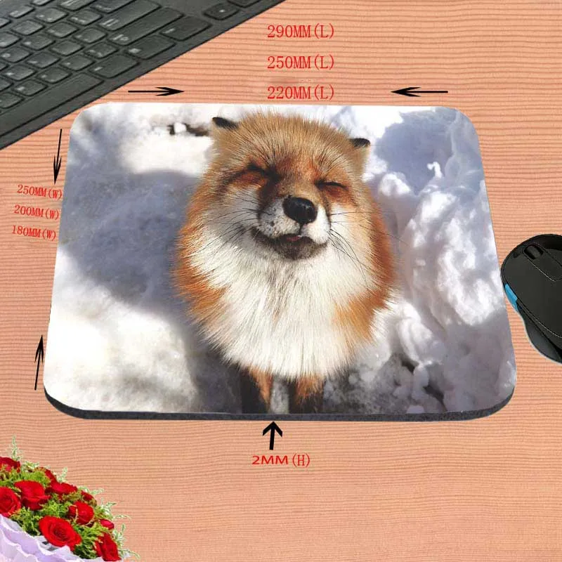 22x18cm Congsipad дешевые лучшие забавные животные пустыни уха лиса Забавный пользовательский коврик для мыши для размера 18*22 см и 25*29 см и 25*20 см в подарок - Цвет: 22x18cm