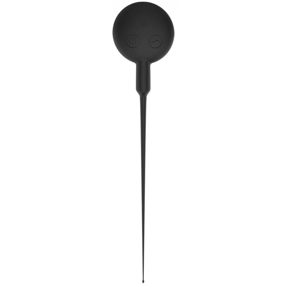 A1