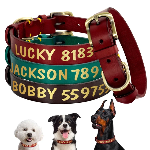 Lucky Paws - Leather AirTag Collar