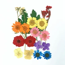 Рельефный мешок, прессованные цветы, обучение тиснению, сушеные капли, сушеные цветы, образцы, вакуумная упаковка, diy цветы