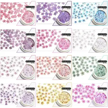 

12 Color Nail Color Small Flower Wood Pulp Sheet Ins Wind Same Paragraph Simulation Flower Nail Decoration Patch