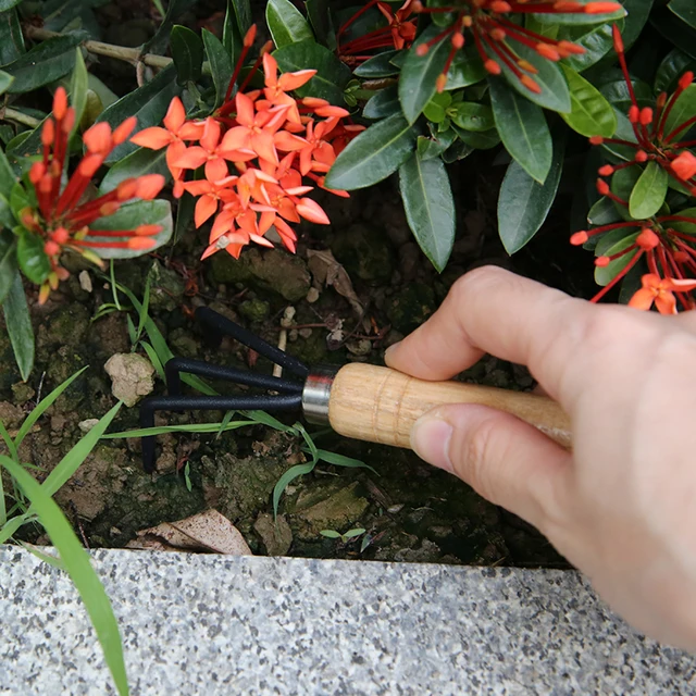 3Db Mini Kerti Kézi Szerszámkészlet Növényi Kertészeti Lapát Ásó Gereblye Fa Fogantyú Fémfejjel Az Átültetés Ásásához - Image 6