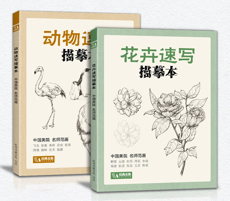 livro de colorir flor pintado à mão pintura chinesa tradicional