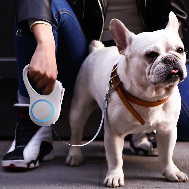 Petkit, автоматический поводок для домашних животных, выдвижной светодиодный поводок для домашних животных, светильник, светящийся безопасный поводок для собак, маленький средний Hondenriem