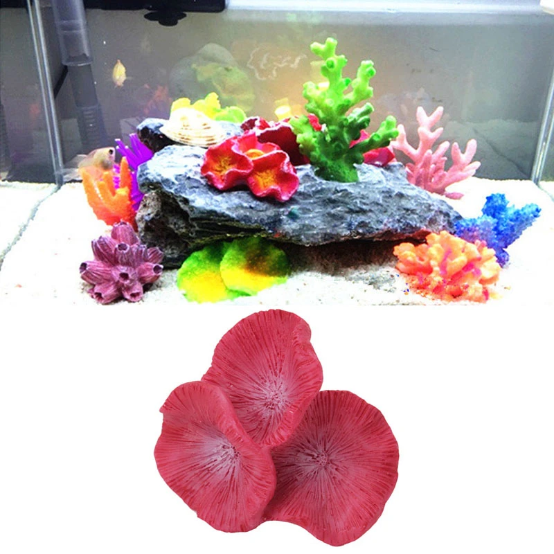 Commercial Fish Tank Cleaning Service Jacksonville, 904.588.2700,  Jacksonville, Florida- YouTube