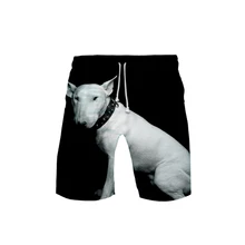 Terrier 3D print Basic Street hip hop Fashion cool Beach Summer Casual comfortable kpop man Hipster