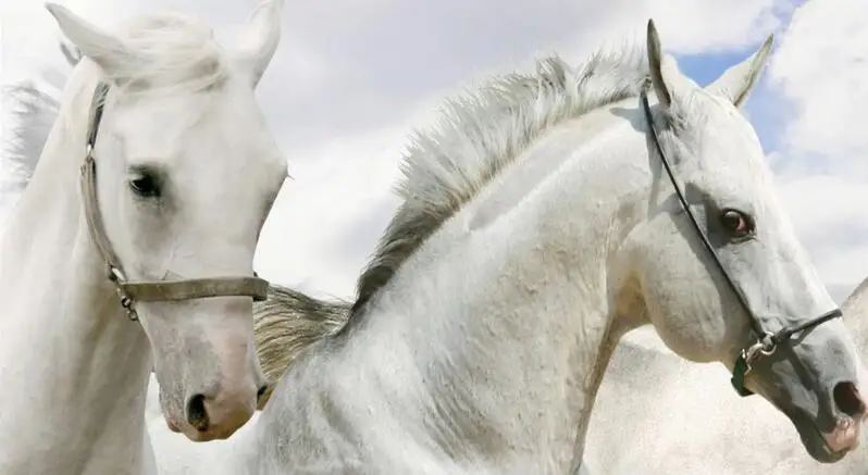 QQ截图20200627171920