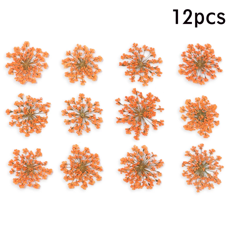 12/шт прессованный высушенный набор цветов, подвеска для растений, аксессуары для рукоделия, искусственные настоящие цветы для украшения дома, вечерние украшения - Цвет: 13