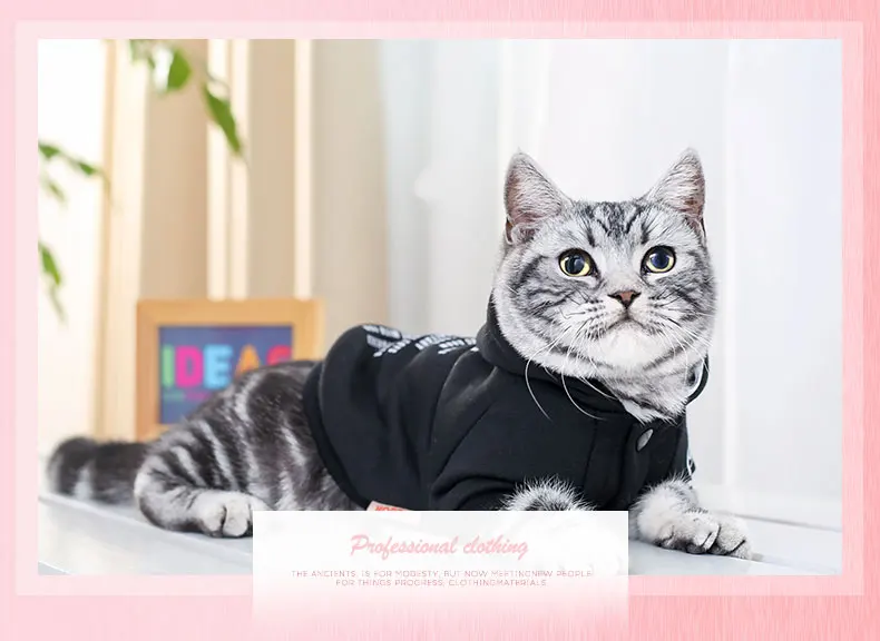 Безопасная Одежда для кошек, куртки для кошек, куртки с капюшоном для кошек, теплая одежда для домашних животных, костюм для домашних животных с кроликом для собак черного цвета