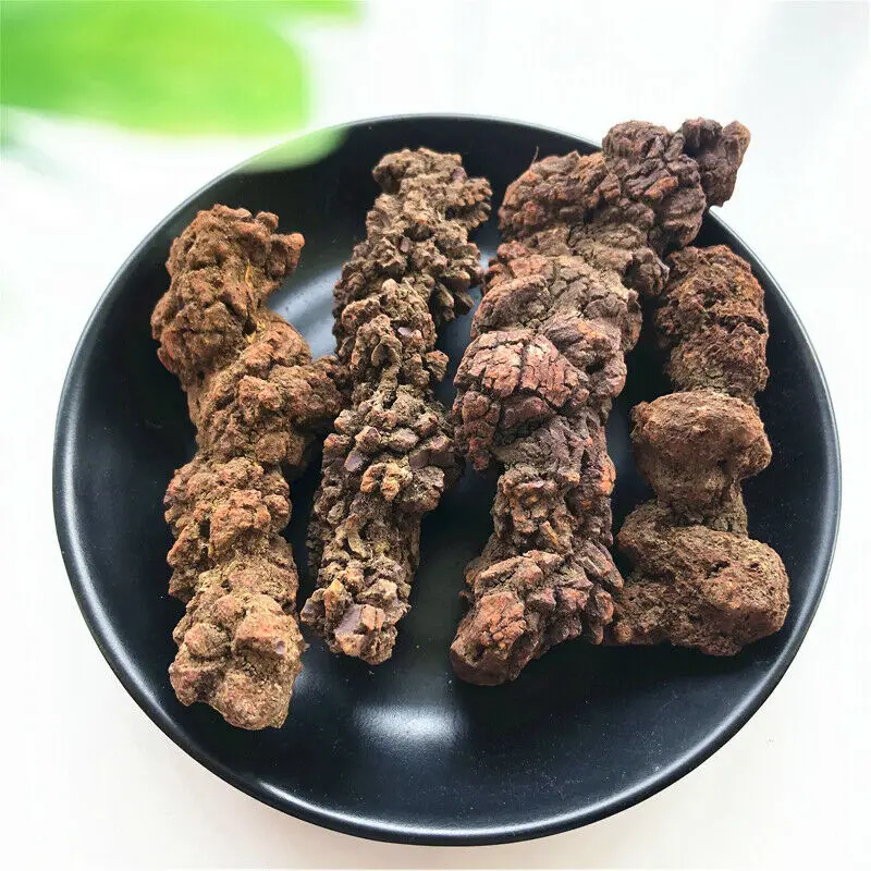 30 100 г 1 штука натуральный динозавр Dejecta Fossil Rough Feces Specimen|Камни| |
