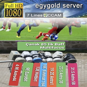 

Cccam Europa Poland server 1Year Poland Satellite tv Receiver 7 Clines For DVB-S2 IPS2 X800 X800S V7 v7s v8 nova V9