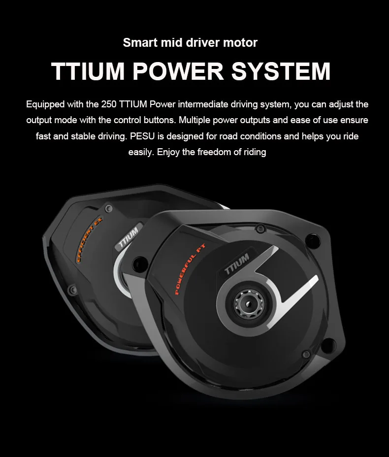 PESU MEET 20 дюймов складной электровелосипед 36V250W среднеразмерный мотор электрический велосипед Встроенная литиевая аккумуляторная батарея Максимальная скорость 25 км/ч ebike
