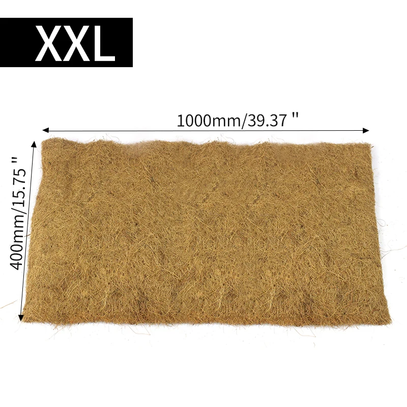 XXL