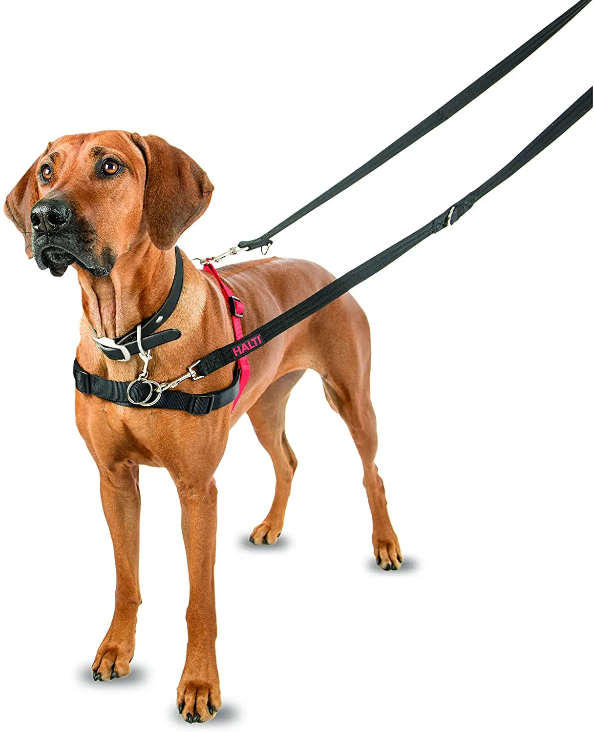 Erfgenaam Continent ongeduldig Het Bedrijf Van Dieren Halti Front Controle Harness Zwart Rood Voor Kleine  Medium Grote Honden Stop Trekken|Harnas| - AliExpress