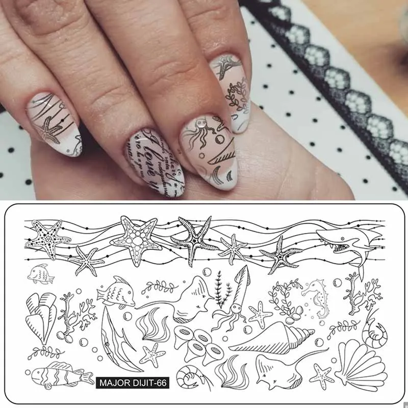 11912167861_1407946851