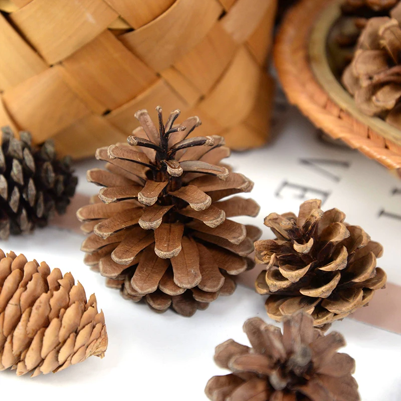 1-10pcs Natural Pine Nuts Fruit Dried Artificial Flower Pineapple Cones for Christmas DIY Garland Wreath Wedding Home Decoration
