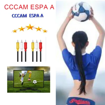 

2020 CCCAM ESPA A Spain CABLE AV CCCAM ESPA A OSN CCCAM ESPA A Poland and Germany cccam espa a France ESPA A for Europe Spain 8L