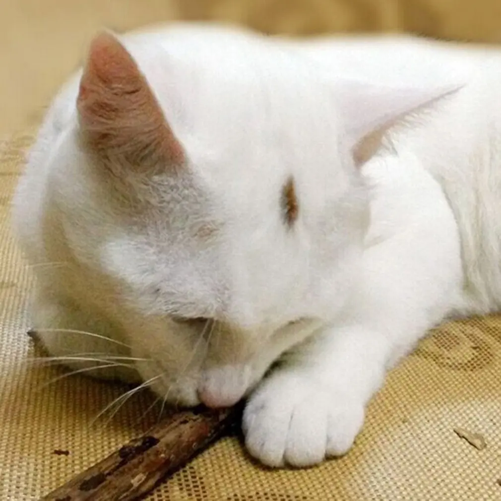 2 шт. натуральный мататаби Pet Snack Cat Жевательная мята палка Treat Toy Catnip Molar Food|Игрушки
