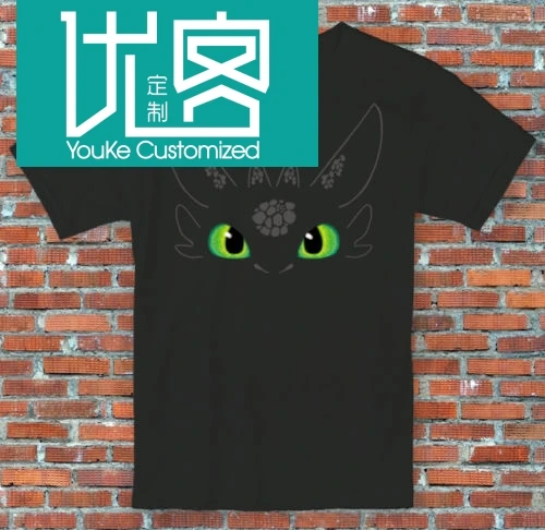 

Toothless Face How to Train your Dragon Inspired T Shirt Adults Kids Cartoon t shirt men Unisex New Fashion tshirt