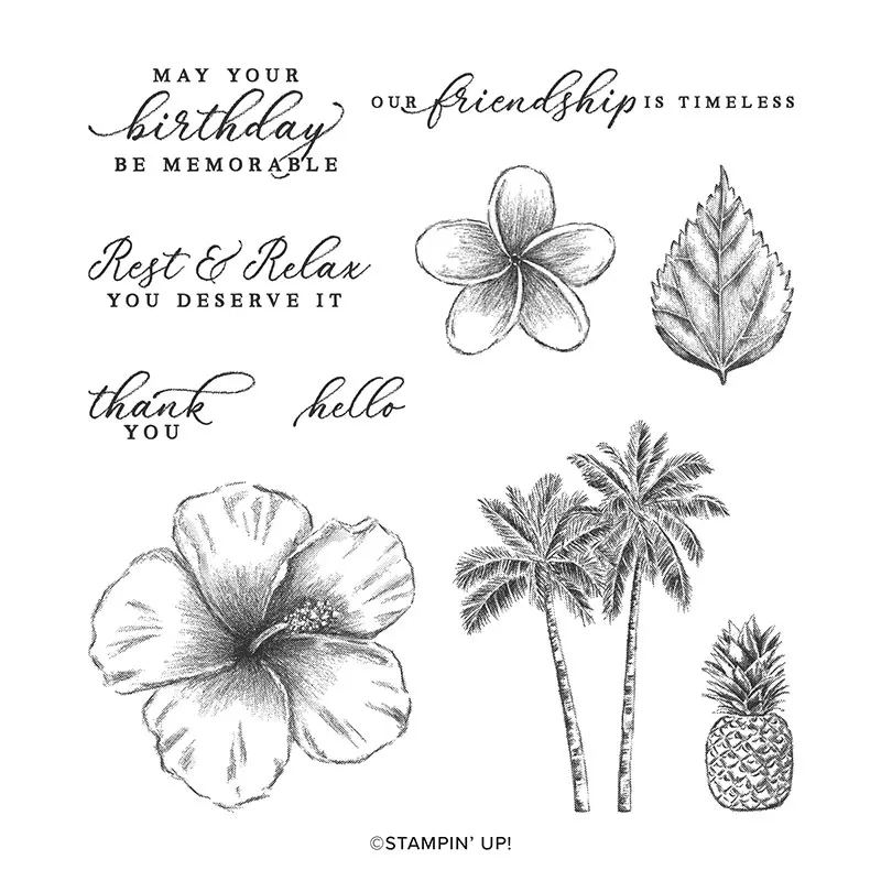 

2020 3D New Metal Cutting Dies and In Scrapbooking For Paper Making Timeless Tropical Embossing Frame Card Clear Stamps Set
