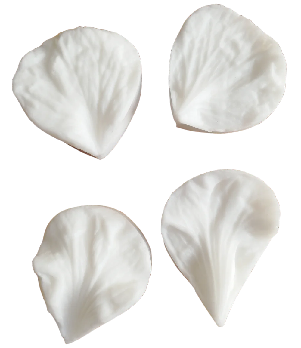 moule à gâteau