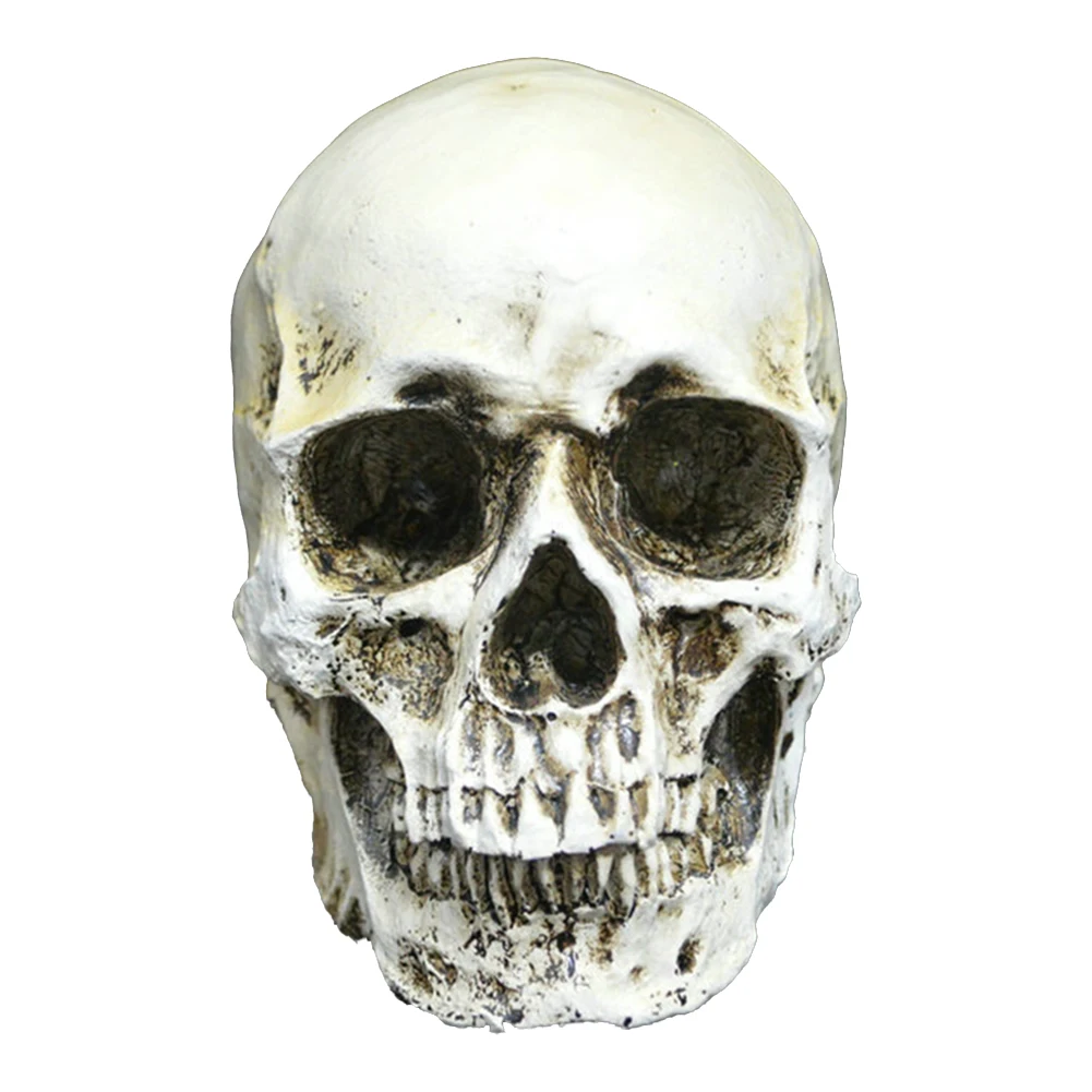 

Statues Sculptures Resin Halloween Home Decor Decorative Craft Skull Size 1:1 Model Life Replica Medical High Quality