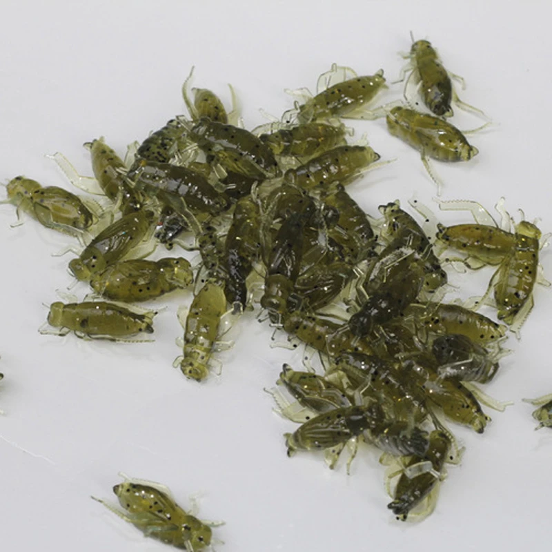 fishing with crickets