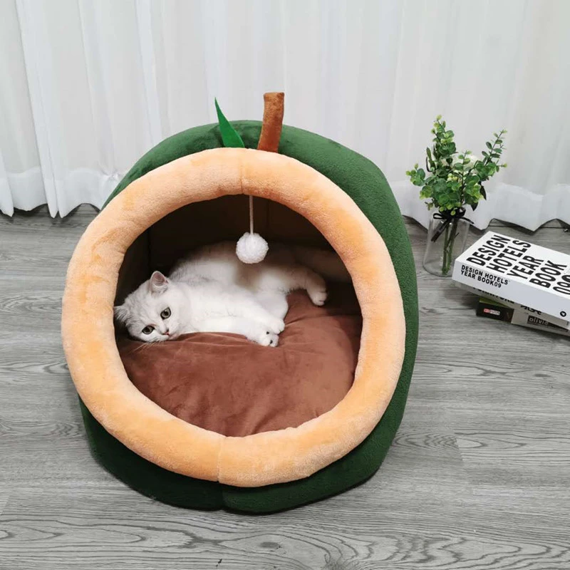 small kitten bed