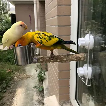

Pet Shower Toys Bird Bath Perches Foot Deck Suction Cup Wall Rack Hand Paw Grinding Toy K1MF
