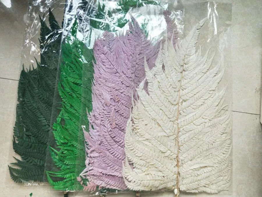 

10pcs/bundle 50-70cm Preserved Fern Flower For Craft Gift Material Accessory Decoration Flower Arranging DIY