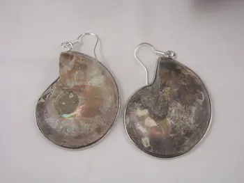 

Natural 33x40mm Ammolite Conch fosils 925 Hook Earrings