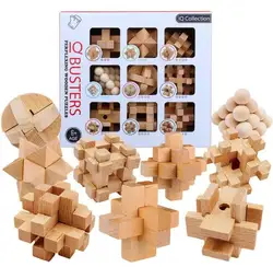 Premium Wooden Brain Teaser Puzzle Game (Set of 9PCS)