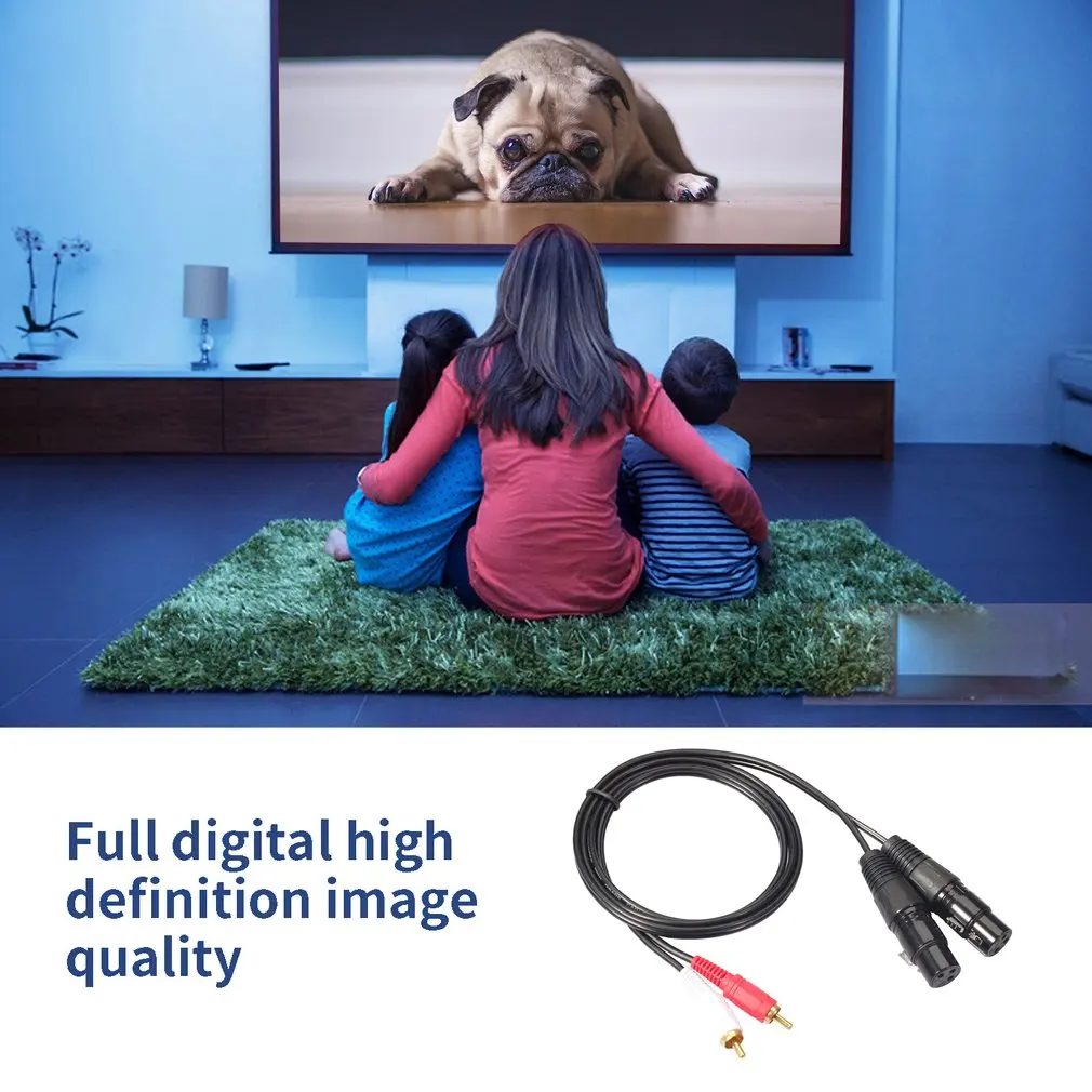 2020R-15 aux cable Audio Cable 2Rca Male To 2Xlr 3 Pin Male Female Amplifier Mixer Av Plug Dual Cable Xlr Dual Rca speaker Cable 2020R-15 aux cable Audio Cable 2Rca Male To 2Xlr 3 Pin Male Female Amplifier Mixer Av Plug Dual Cable Xlr Dual Rca speaker Cable