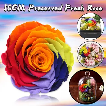 

New Preserved In Glass Dome Eternal Rose Decoration Colorful Ecuador Gift Box Can Put Ring Valentine Day Birthday Gift for Women