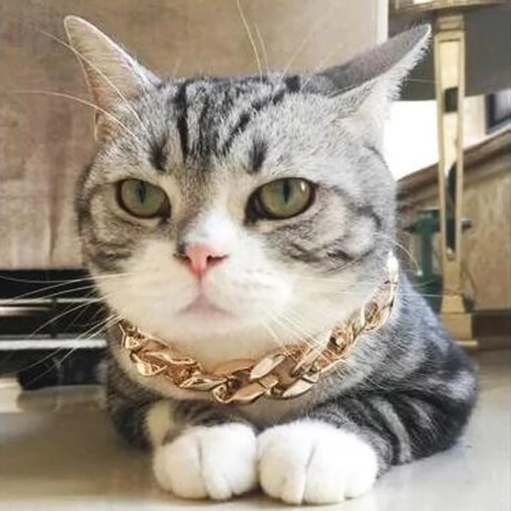 Safety Collar Cuban Link Thick Golden Chain Dog Cat Pets product for Home pets dog cat accessories convenient collar воротник | Дом и