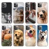 Mobile Phone Accessories
