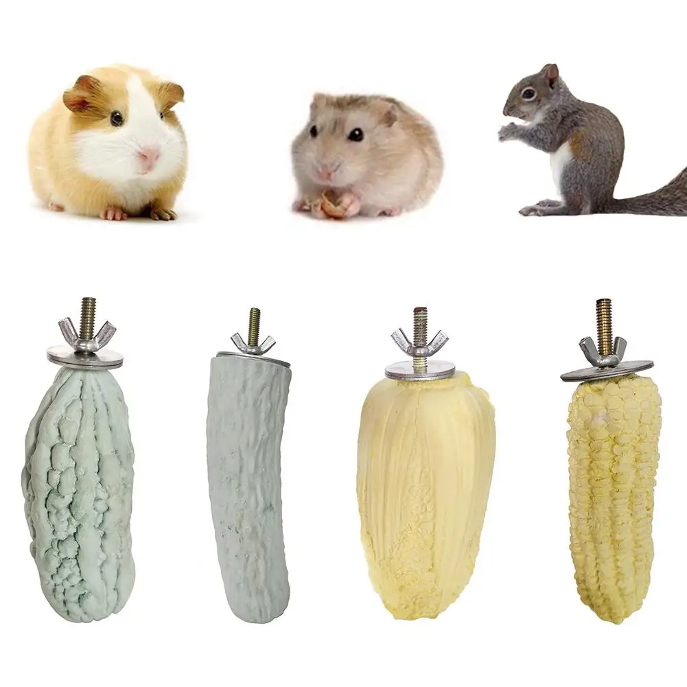 Pet Hamster Rabbit Corn Cabbage Minerals Teeth Grinding Stone Molar Chew Toy