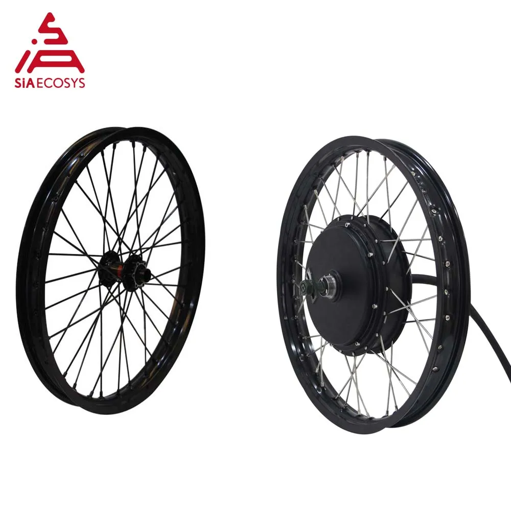 

QS Motor 19x1.6inch Rear Wheel Lacing With 205 50H V3/V3I/V3TI Spoke Hub Motor With 19inch Front Rim High Power E-bike Kits