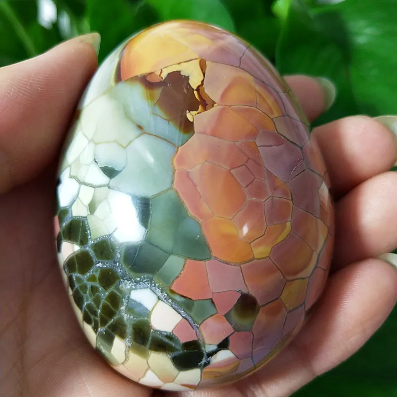 Natural stone Marine palm healing crystals Decorative collection stones and crystals Natural stone Marine palm healing crystals Decorative collection stones and crystals