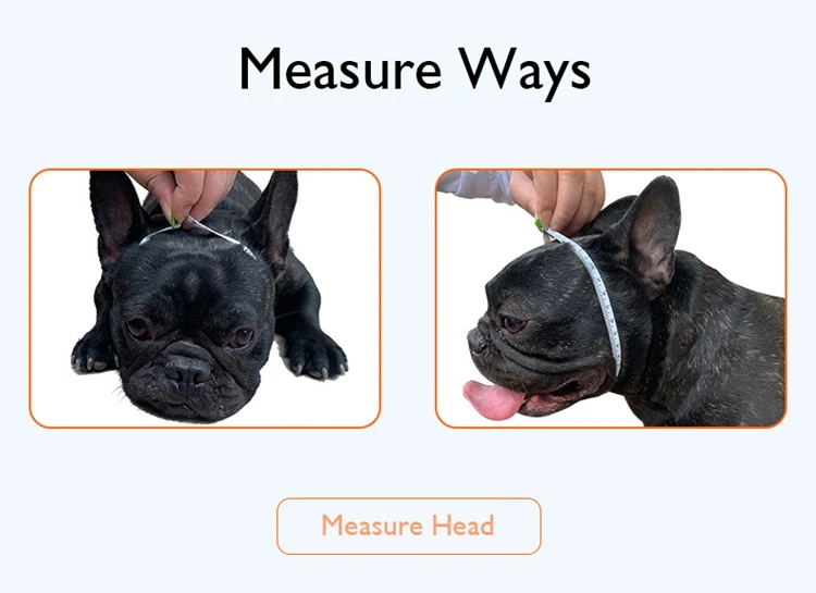 11 - 21302085849_20982621