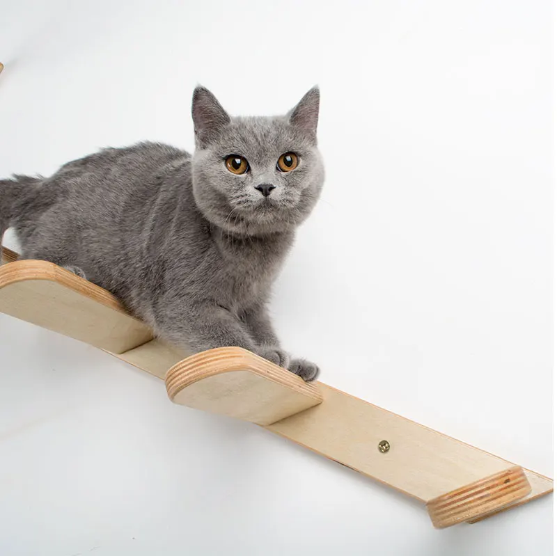 ladder_25