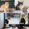 Ceramic Pet Bowl Cat Food Feeding Double Dish Stainless Steel Raised Stand Kitten Dog Water Feeder Durable Pet Accessories 5