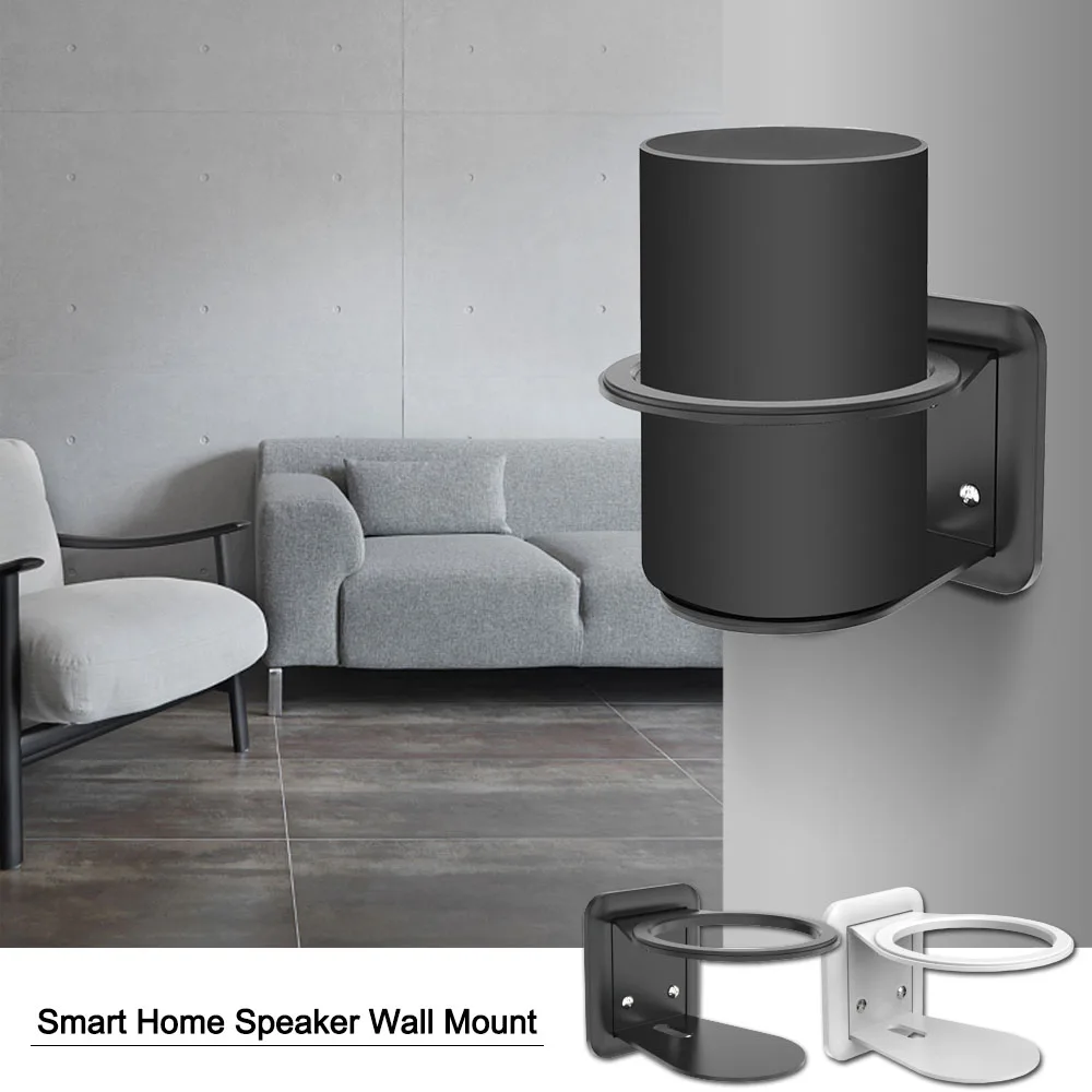 google home or echo plus