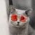 Квадратная Собака Кошка Домашние Очки Для Домашних Животных Eye-wear Pet Солнцезащитные Очки Фотографии Реквизит Аксессуары Зоотовары Cat Glasses Kitty Toy