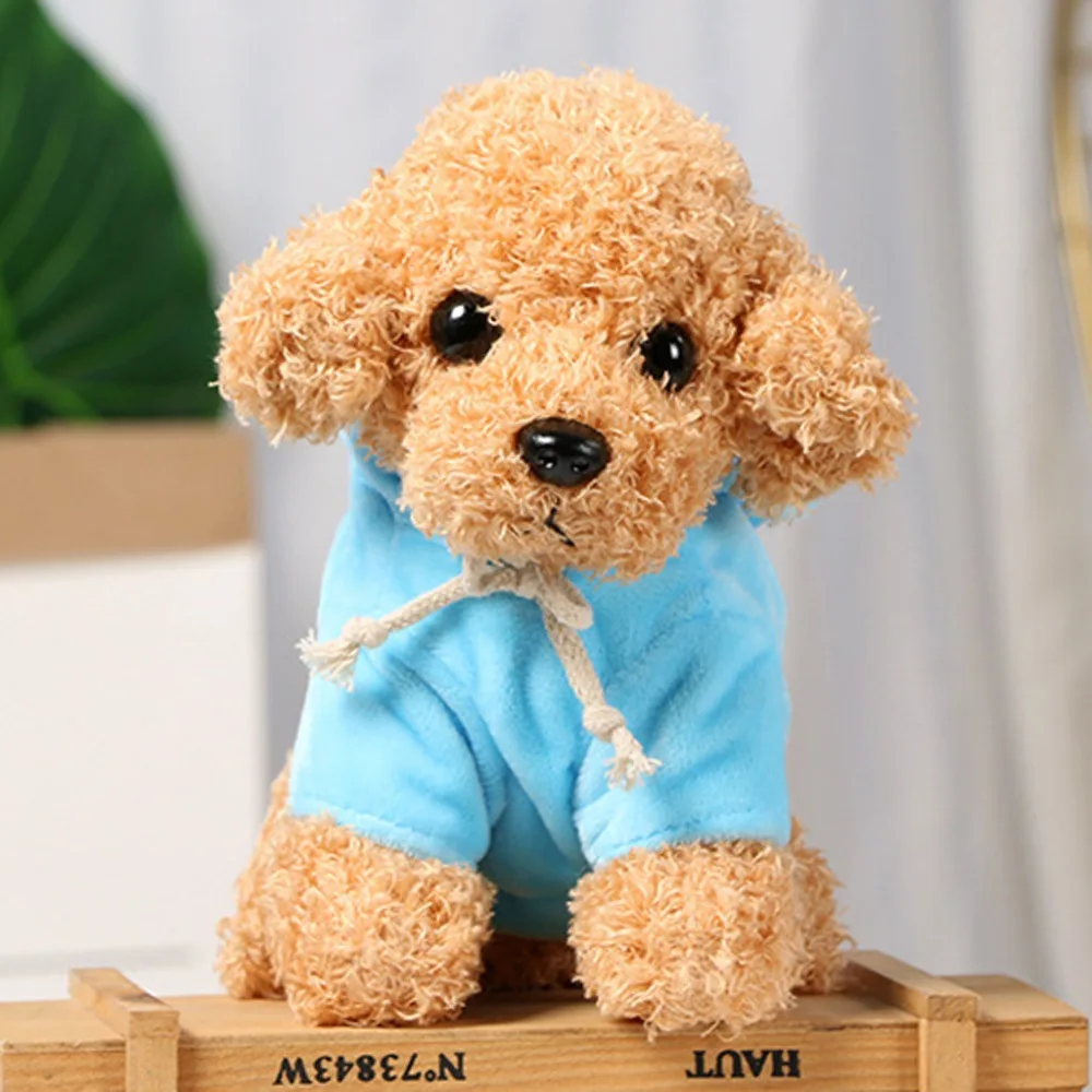 Teddy Dog Rag  (33)